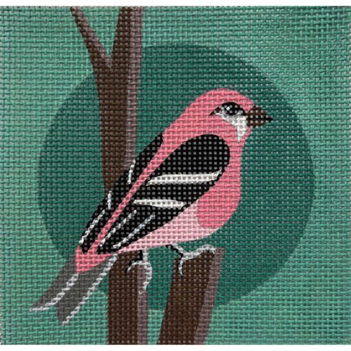 Pink Bird on Teal (TS)