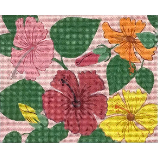 Hibiscus on Pink (TS)