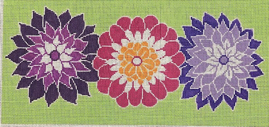 ASIT470 (TS) Dahlias