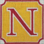 ASIT495-N (TS) Initial N