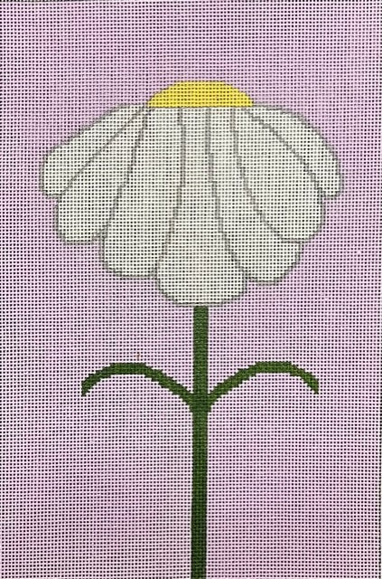 ASIT509 (TS) Daisy
