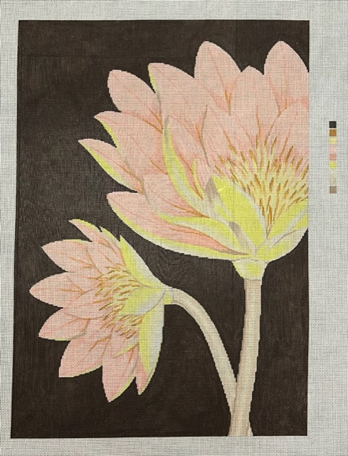 ASIT600 (TS) Lotus