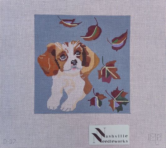 Cavalier King Charles