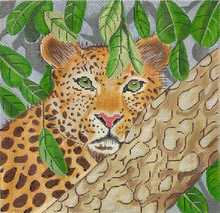 Tree Leopard (TS)