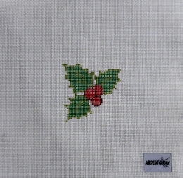 ArdenGray

HollyMini