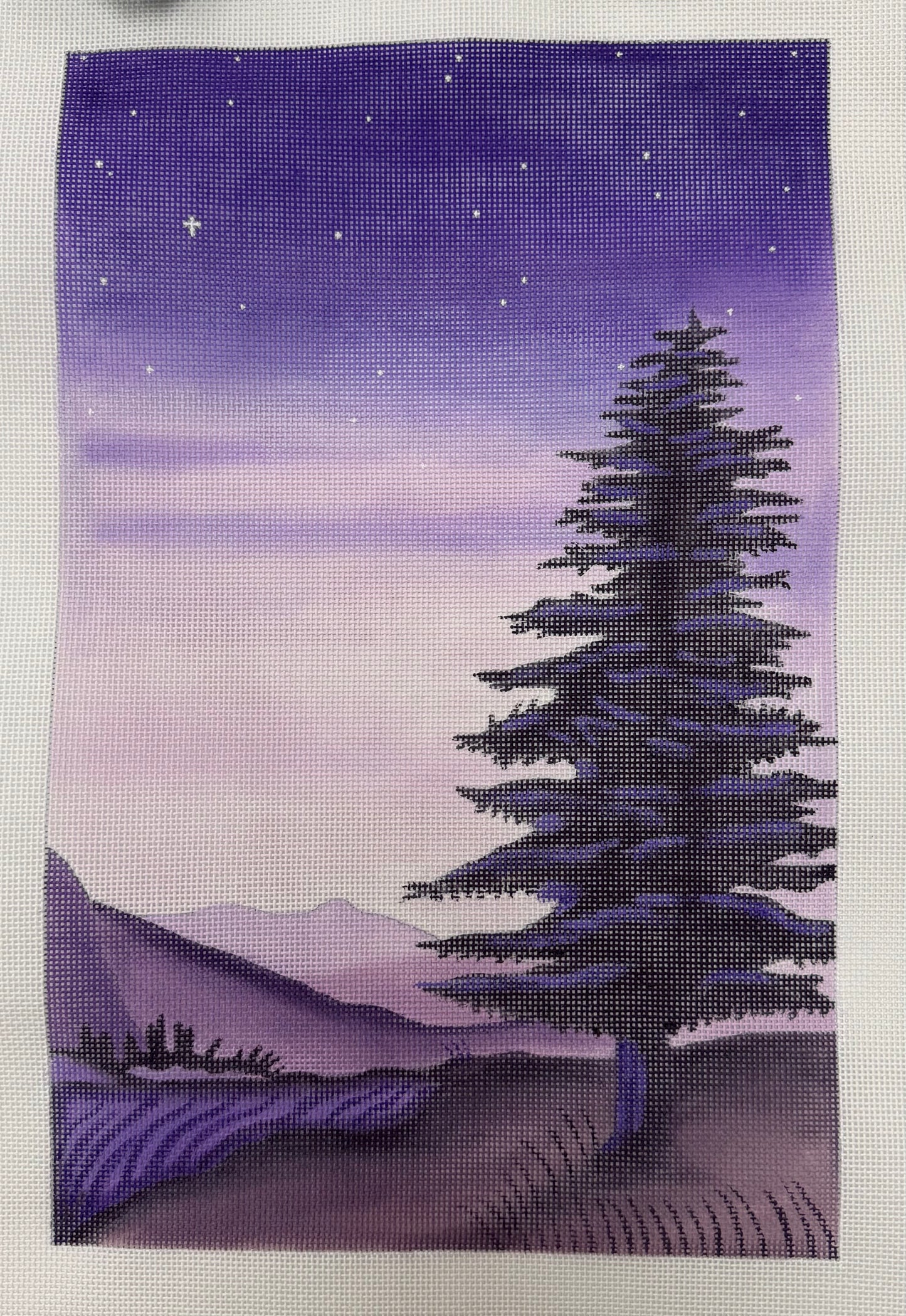 Alice Peterson
Purple Night
AP EK104