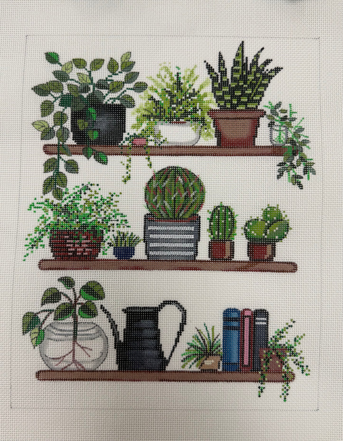 Plants, Plants, Plants