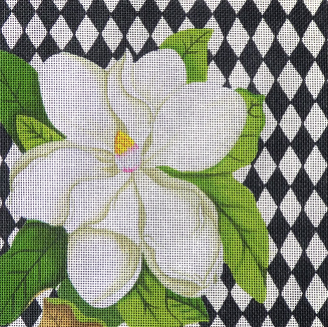 JM-02 (TS) Harlequin Magnolia