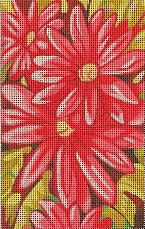 Pink Mums (TS)