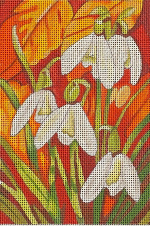 Snow Drops (TS)