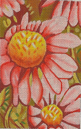 Cone Flowers (TS)