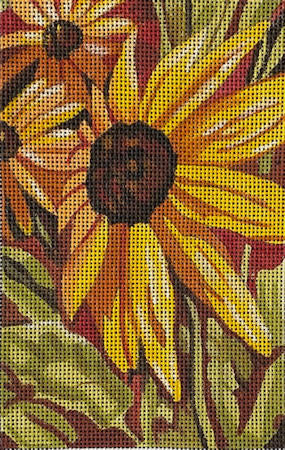 Rudbeckia (TS)