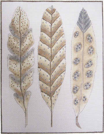 A Feather Study - Browns NH-102C (TS)