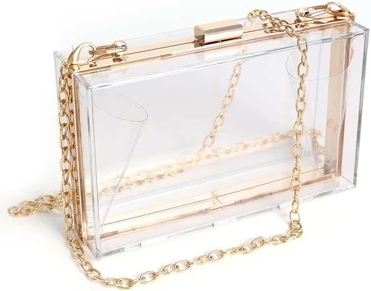Clear Acrylic Purse