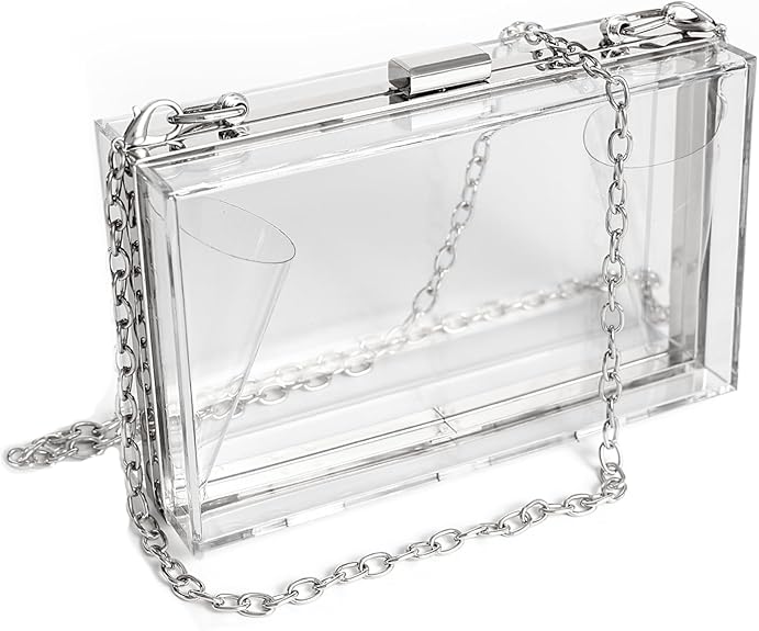 Clear Acrylic Purse-Silver