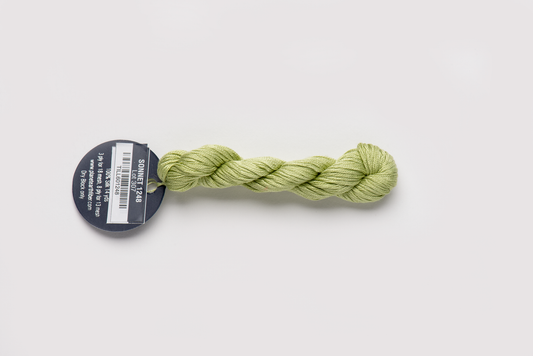 Planet Earth Silk (8ply) -1248 Sonnet