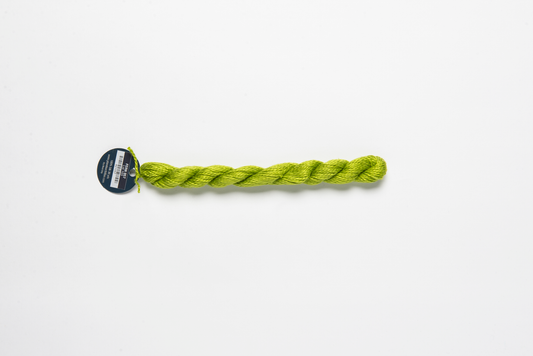Planet Earth Silk (13 count)-057 Fern