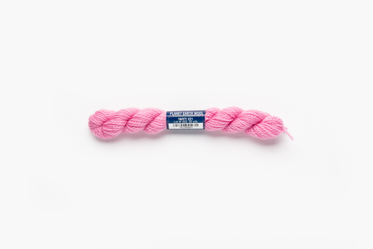 Planet Earth Wool - 221 Taffy