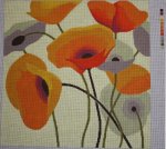 ASIT016-13 (TS) Poppies