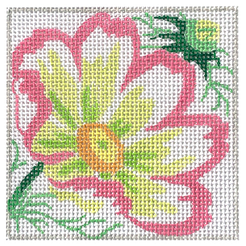 Various Cosmos Coasters