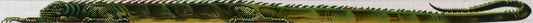 Victoria Whitson Needlepoint Liz Goodrick Dillon Iguana Belt TTB126
