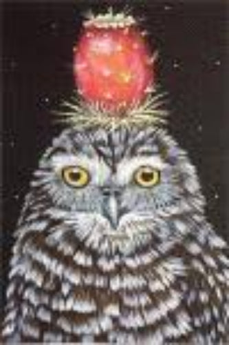 MelissaShirley VS250 PricklyPearOwl
