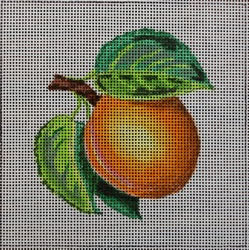 WS619F (Small Apricot)