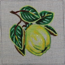 WS619H (Small Quince)